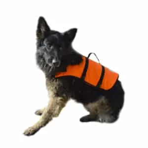 Chaleco salvavidas para mascotas
