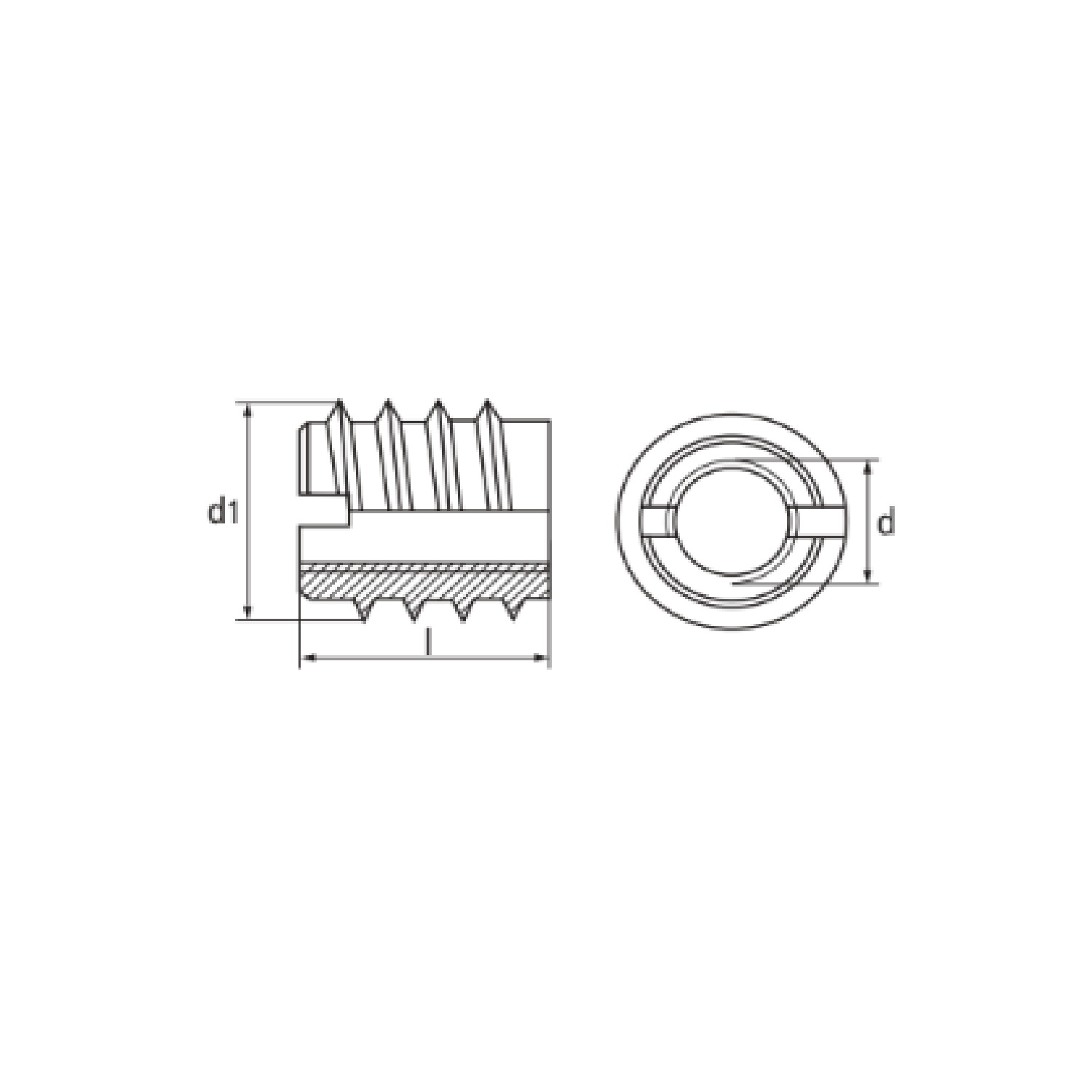 DIN 7965 Inserto inox